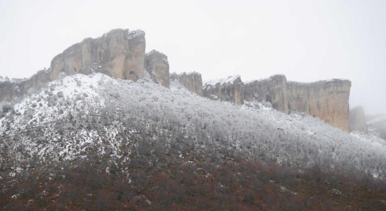 Casa Zologorri Pension Ganuza Buitenkant foto